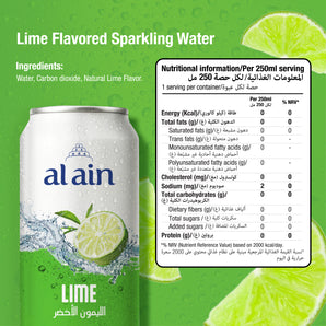 6x250ml AA Shrink Lime Sparkling Can